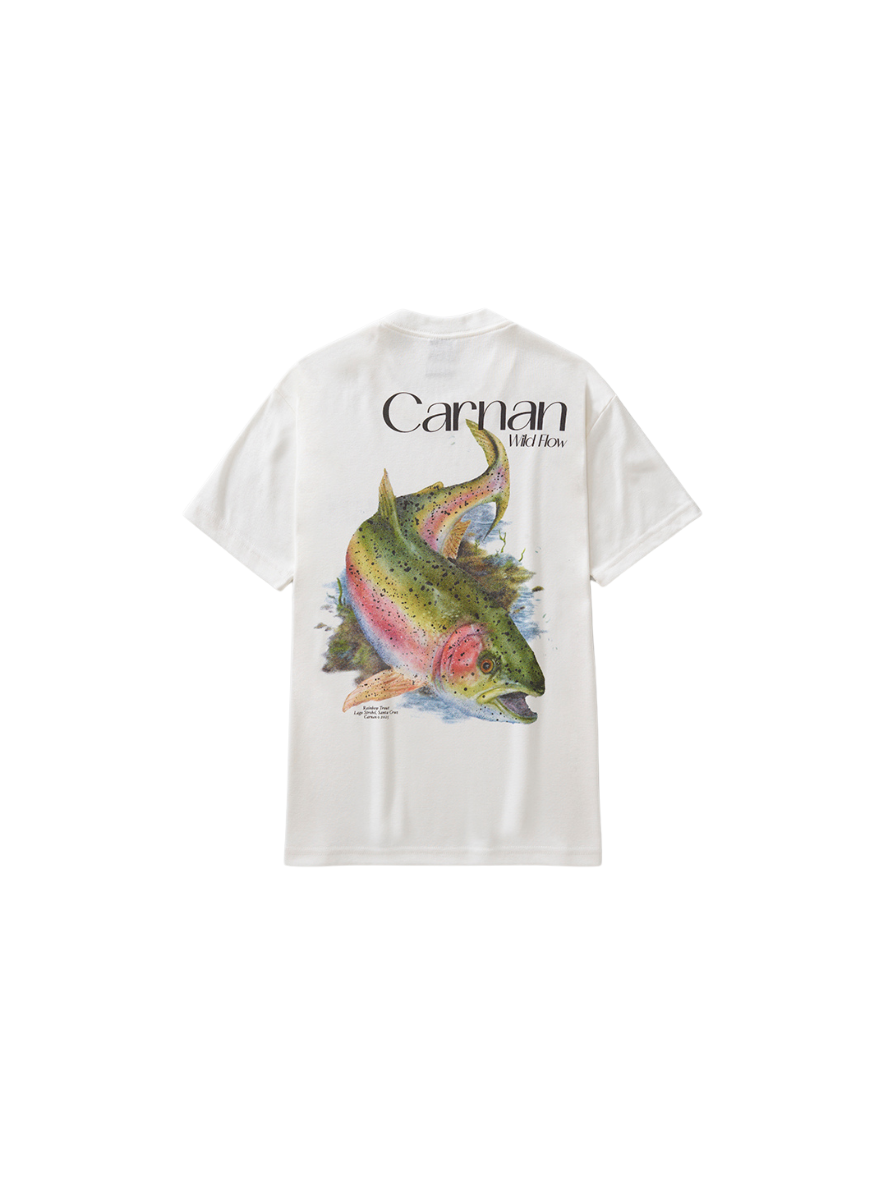 Fish Heavy T-shirt "Off"